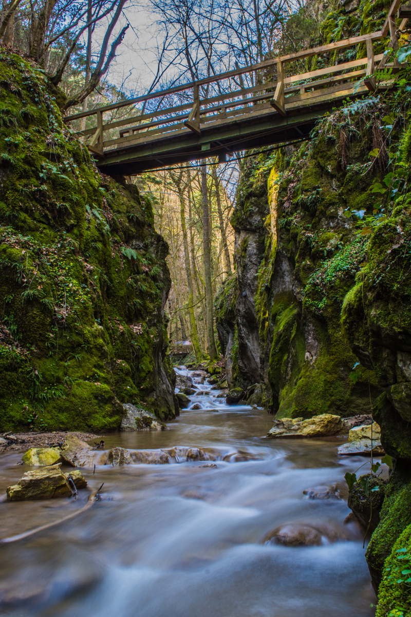 tree, zu, outdoors, wooden bridge, forest, river, bauen, austria, waterfall, Brücken, nature, lake, brown, Die, wenig, niederösterreich, scenics, stream