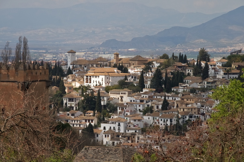 granada, historic, tree, la alhambra, outdoors, spain, arabic, day, palace, spanish, house, cityscape, mountain, Alhambra, town, moorish, community, residential district