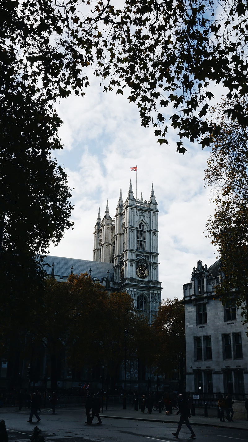 government, westminster, spire, nature, sky, incidental people, tree, history, autumn, place of worship, building, travel, built structure, the past, travel destinations