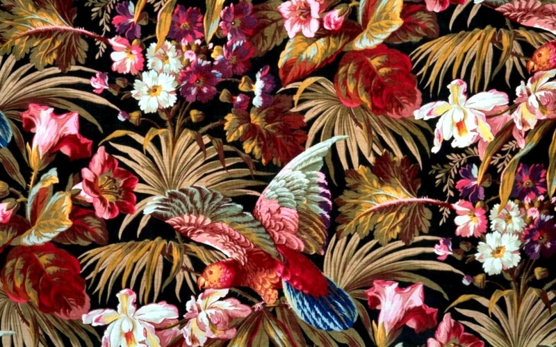 Artistic, Tropical, 1080P, Flower, Collage, Bird