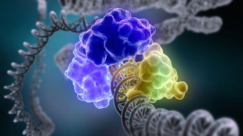 abstraction, 1080P, molecule, d, psychedelic, structure, Genetic, DNA, pattern, 3