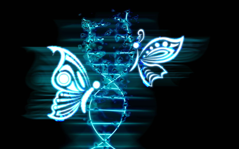 pattern, 1080P, structure, Genetic, 3, abstraction, molecule, butterfly, DNA, d, psychedelic