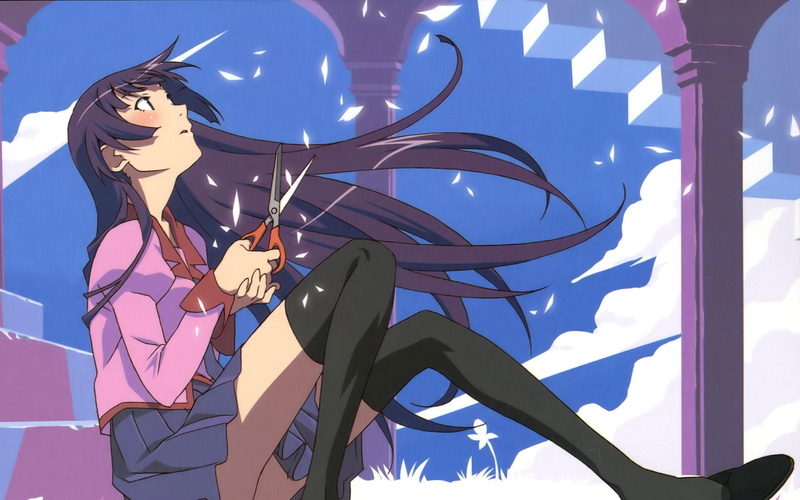 monogatari, 2K, anime, hitagi, female, senjougahara, 2880x1800, character, hair, purple, hitagi senjougahara, long