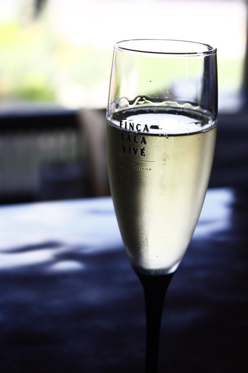 wine, glass, focus on foreground, food and drink, transparent, no people, cava, refreshment, wineglass, alcohol, cup, freshness, drinking glass, day, food