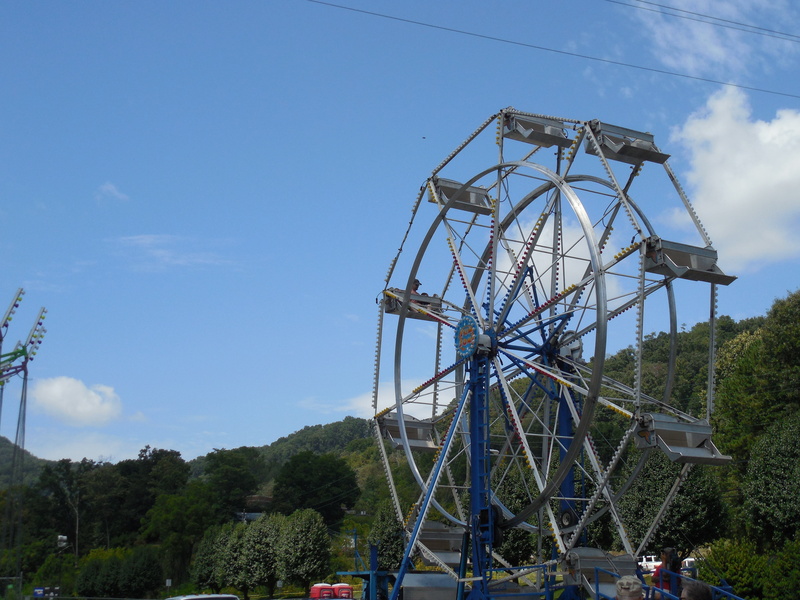 fuel and power generation, amusement park ride, colorful, sky, ferris wheel, spin, arts culture and entertainment, outdoor, high, plant, ride, ferris, round