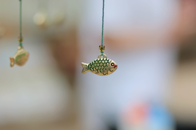 decorative fish, day, invertebrate, nature, Fish, animal themes, animal body part, butterfly - insect, landscape decoration, close-up, selective focus