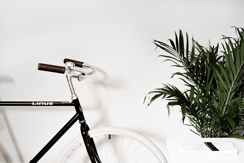 linus bike, retro Styled, green, old-fashioned, outdoors, street, indoors, bike, zen, 8K, fern, single Object, wheel, transportation, mode of Transport