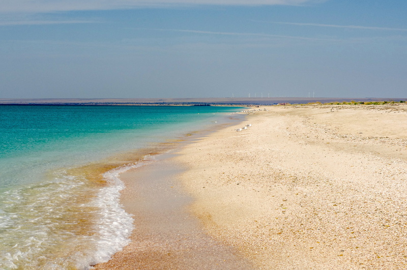 gulls, sun, tropical, no one, summer, non-urban scene, beauty in nature, scythe, wave, turquoise colored, beach, horizon, greenish-blue, seascape, russia