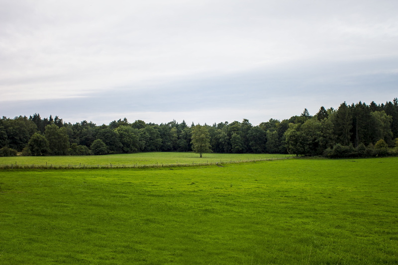 dutch landscape, sky, land, blue, environment, view, air, outdoors, clouds, tree, day, sport, tranquility, 4K, meadow, cloud cover, cloudy, golf course