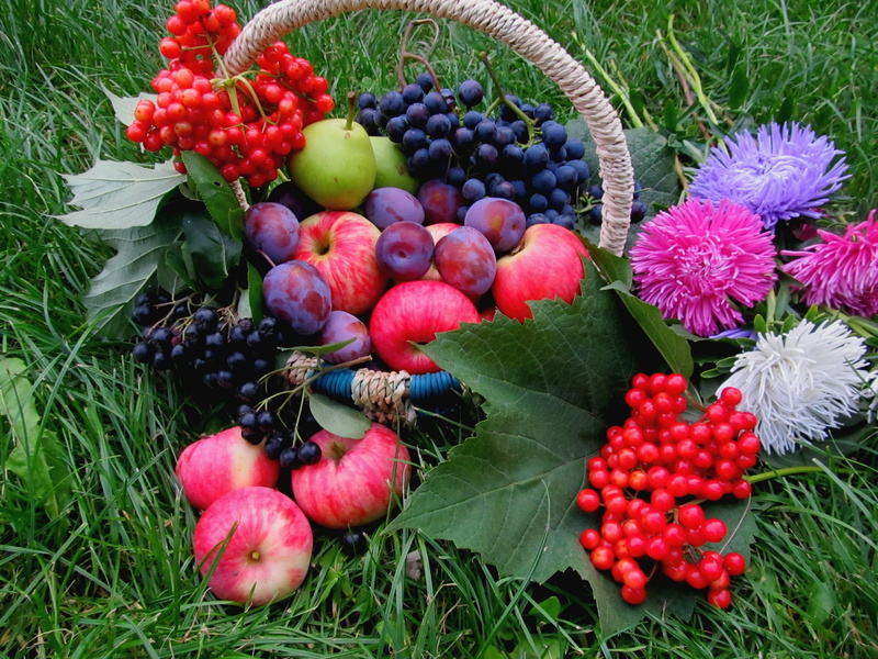 backgrounds, close-up, summer, multi Colored, 1080P, healthy Eating, fruit, autumn, green Color, agriculture, beauty in nature, outdoors, gardening, plant