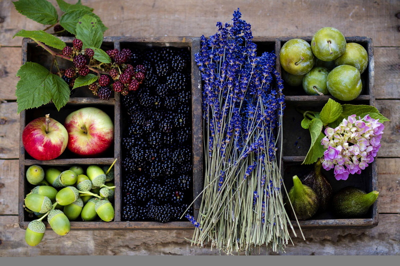 plum, basket, flower, wellbeing, apple - fruit, choice, fruit, no people, apple, box, variation, food and drink, flowers, container, purple, day, autumn