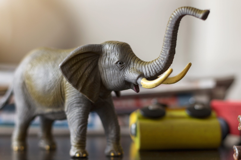 boy, indoors, Colors, animal body part, representation, Child, baby, artifact, little, 5K, children, cute, babies, natural, elephant, dinosaur, gift, Toy