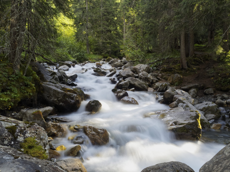 flowing, plant, blurred motion, land, beauty in nature, long exposure, stream - flowing water, river, falling water, alps, outdoors, flowing water, power in nature