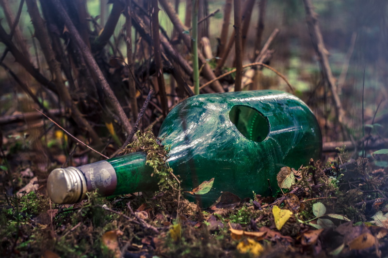 bottle, glass, animal, destroyed, pollution, tree, selective focus, close-up, old, green color, garbage, bone, outdoors, contamination, nature, land, plant part