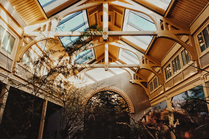 nature, cozy, interior, artis, decoration, built structure, ceiling, day, natural light, 5K, outdoors, plant, hanging, peaceful, roof, no people, ruined