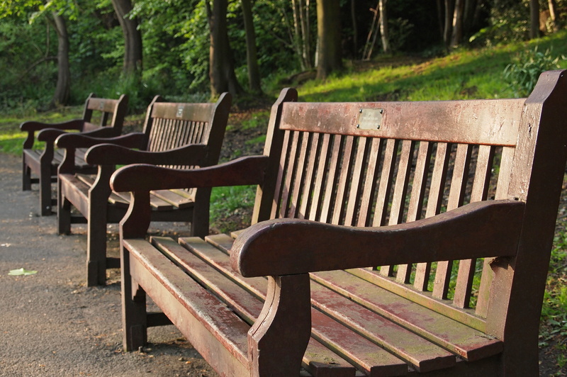 tranquility, nature, park bench, arty, outdoor, seat, park, bench, sun, no people, brown, day, quiet, park benches, wood - material, relaxation, outdoors