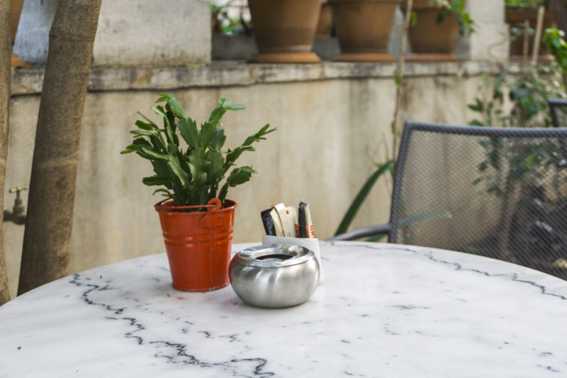 growth, focus on foreground, table, brown, pepper - seasoning, seasoning, day, food, tale, no people, nature, pepper shaker, food and drink, grey, flower pot