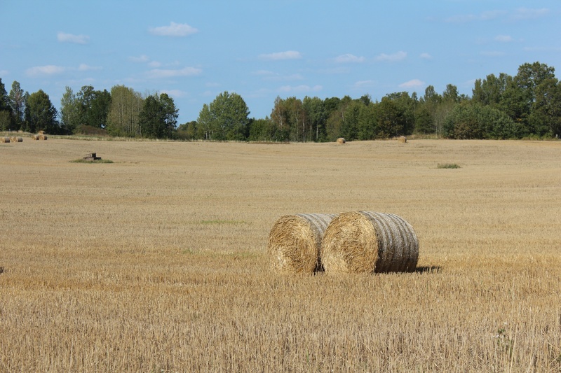 bal, outdoors, rural scene, 2K, nature, growth, field, tranquility, bales, land, bale, landscape, countryside, beauty in nature, hay, environment, go