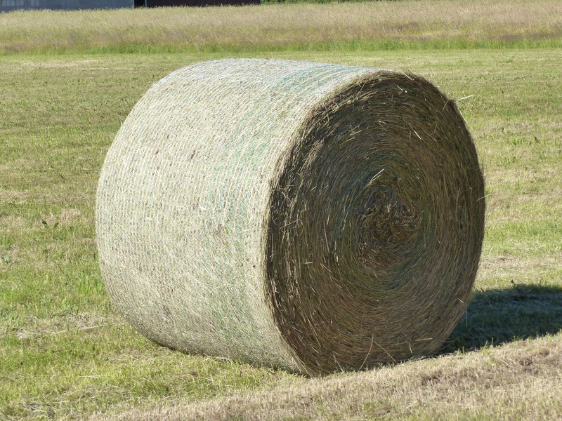rolled up, environment, plant, rural scene, 4K, summer, farm, hay, outdoors, agriculture, nature, bal, day, grass, bale, feed, tranquility, circle, land