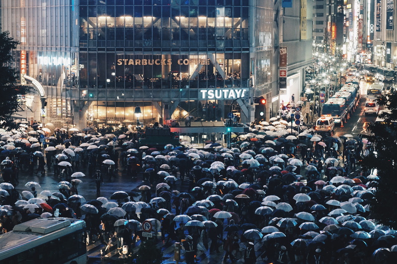 architecture, holding, group of people, street, advertisment, rain, umbrellas, outdoors, city life, women, people, real people, crowd, 4K, men, night