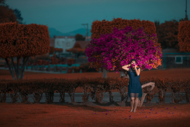 lifestyles, leisure activity, plant, standing, real people, casual clothing, nature, flowers, girl, one person, mexico, yuriria, beauty in nature, outdoors