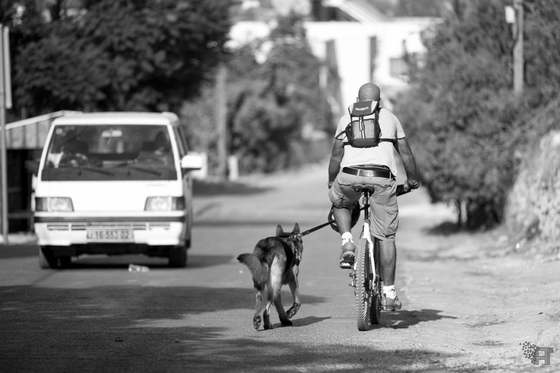 full length, mammal, best, lifestyles, bandw, one animal, people, domestic, dog, transportation, canon, bw, pet owner, friend, jerusalem, cycle, domestic animals