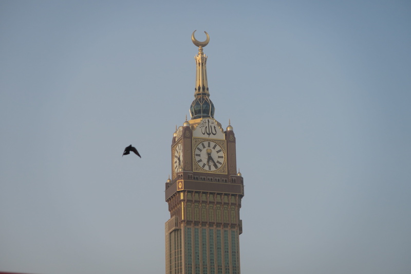 religion, place of worship, animal, spire, belief, low angle view, building exterior, skyscraper, animal themes, travel destinations, time, vertebrate