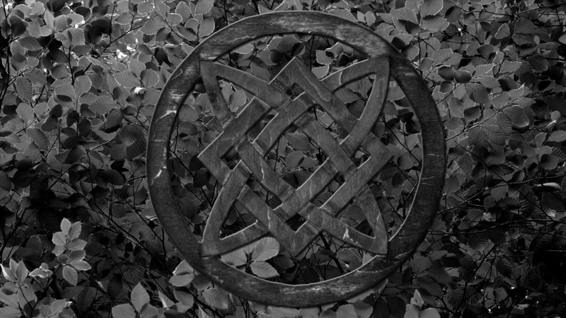black, shape, transportation, 1080P, geometric shape, round, spiral, large group of objects, Russia, leaf, plant part, nature, circle, day, plant, symbol