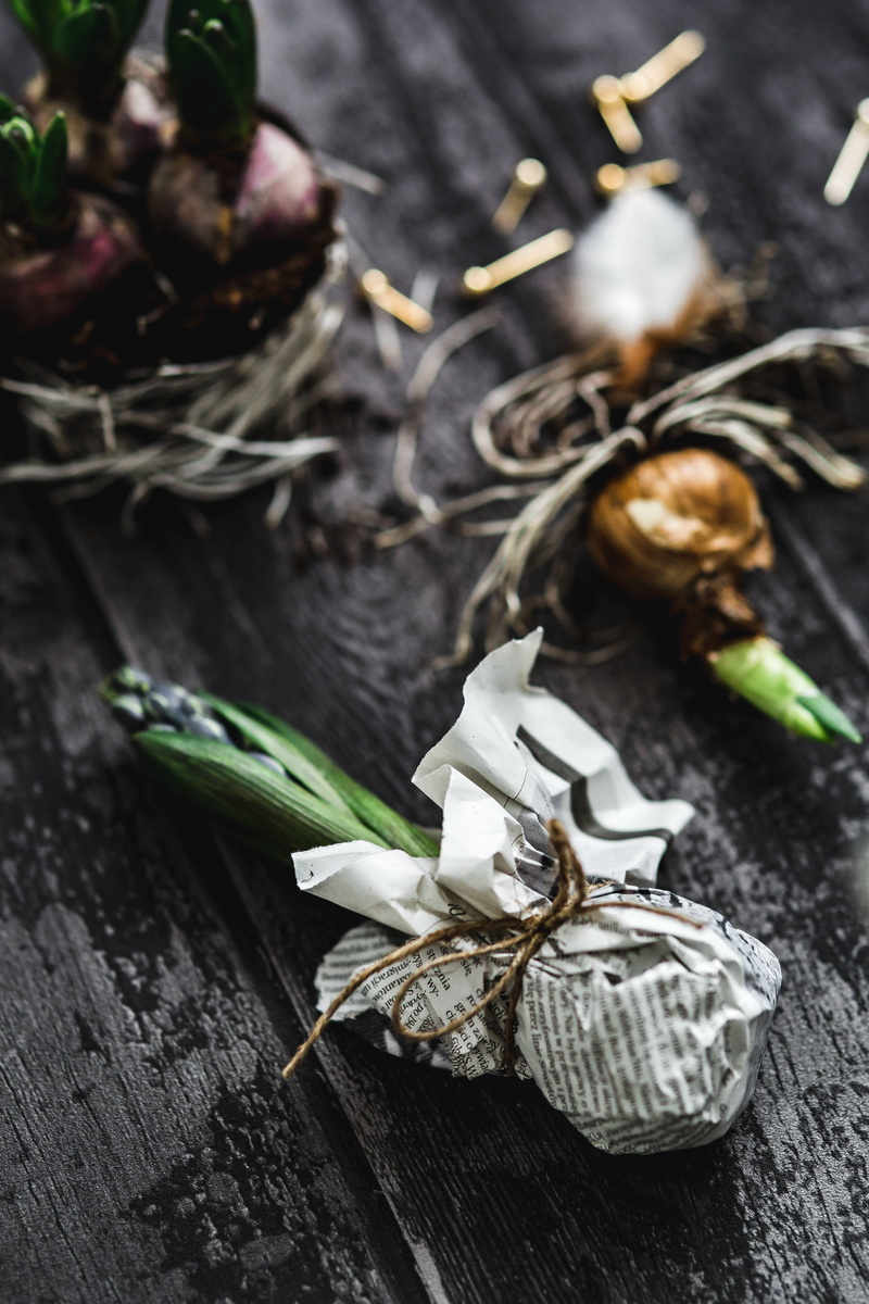 rustic, focus on foreground, little, ornament, small, container, food and drink, healthy eating, studio shot, seedling, food, selective focus, plant, leaves