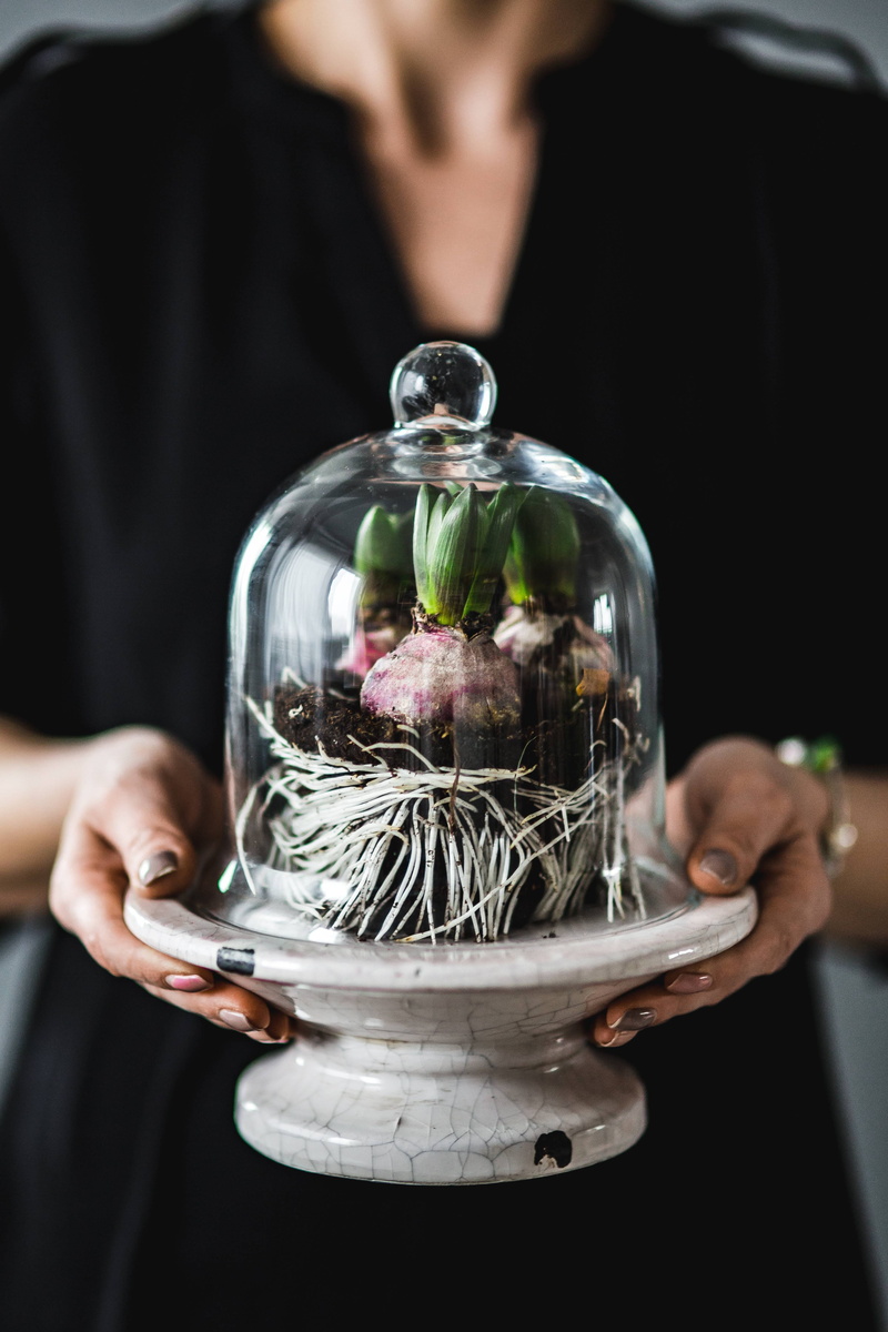 people, human Hand, seed, adults only, transparent, decoration, closeup, close-up, women, focus on foreground, ornament, men, container, midsection, 4K