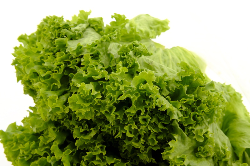lambs lettuce, wellbeing, vegetable, no people, leaf, still life, 5K, white background, salad, vegetables, plant part, leaf lettuce, food, vegetarian food
