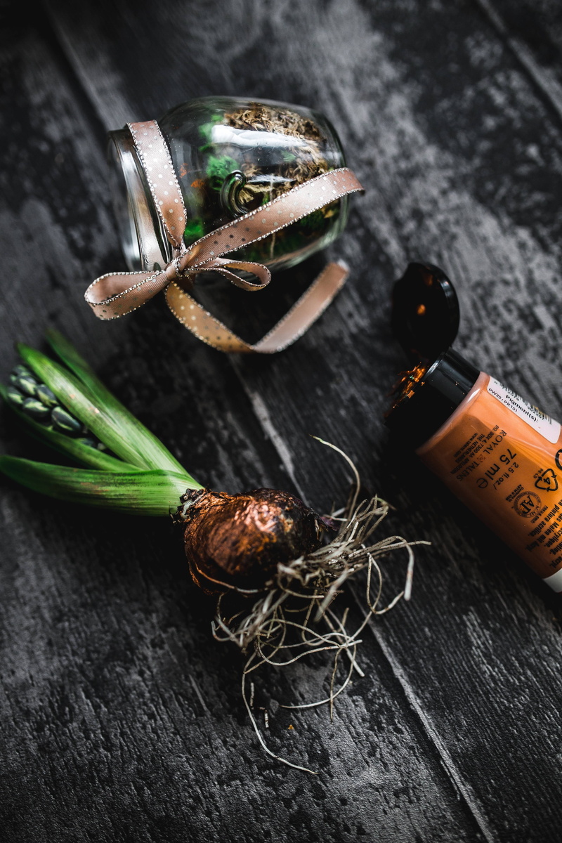 container, green color, ornament, close-up, wood - Material, healthy eating, freshness, table, herb, decoration, spice, making, 5K, small, food, no people
