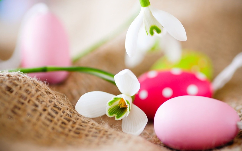 Snowdrops, Easter, Egg, 1080P, eggs