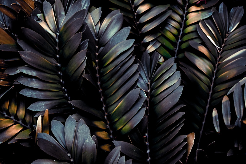 pineapple, green, natural pattern, plant part, no people, green color, stack, nature, freshness, full frame, plant, large group of objects, outdoors, leaf