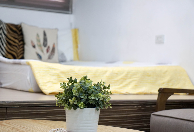 houseplant, recycle, domestic life, home, green, centerpiece, yellow, design, day, relax, garden, style, leaf, wall, wood, living room, plant, seat, interior
