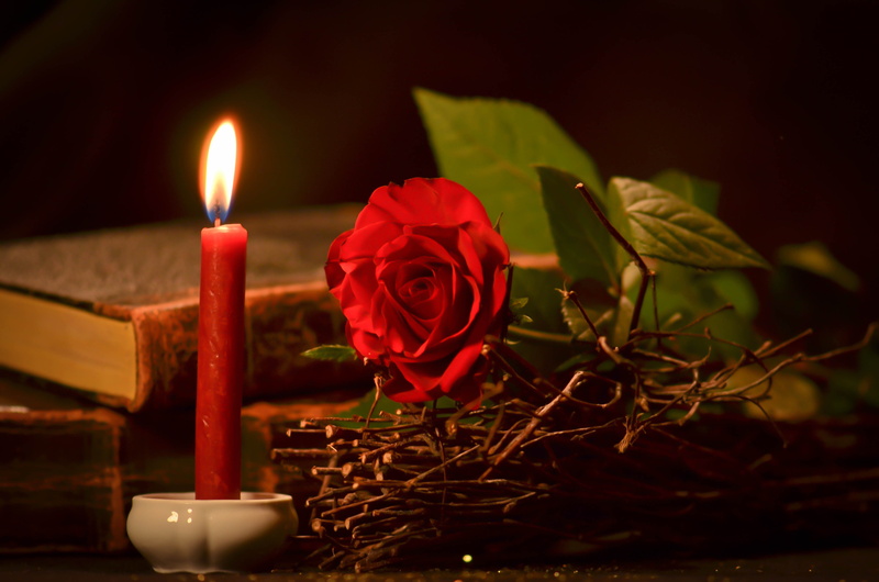 nature, magic, dark, rose, rose - flower, freshness, beside, celebration, close-up, candle, petal, light, flowering plant, beauty in nature, taper, fire - natural phenomenon