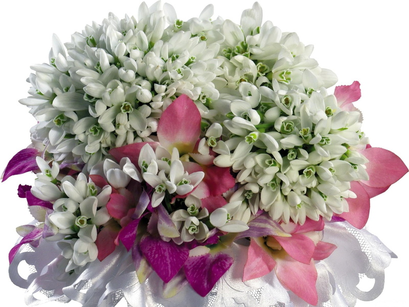 rose - Flower, vulnerability, flower arrangement, botany, flower Head, white, 1080P, wedding, freshness, high angle view, indoors, summer, purple, plant