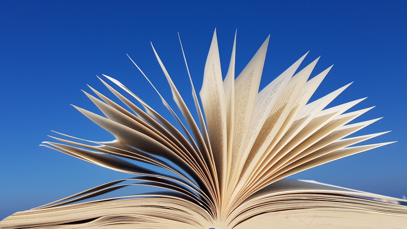 close-up, reading, read, book, clear sky, flying, wisdom, wind, nature, single object, literature, blue background, sky, book open, time out, copy space