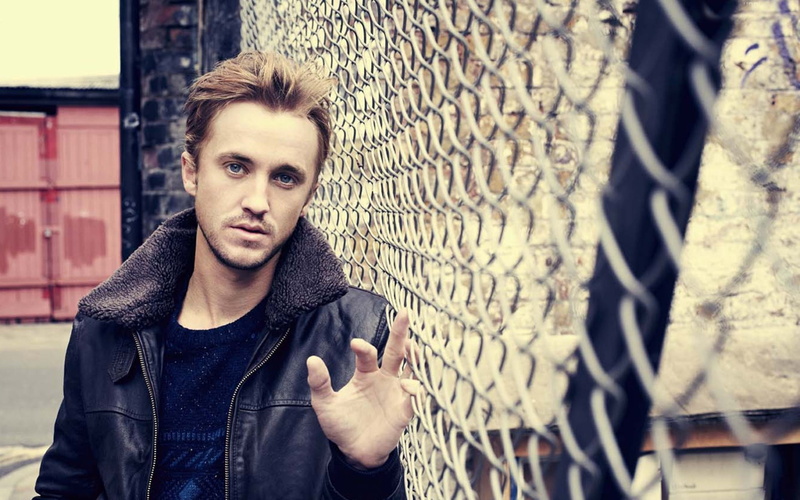 4K, tom felton, jacket, photoshoot, grid, actor backgrounds, face, Download 3840x2400 tom felton