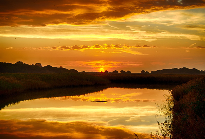 tranquility, tranquil scene, snape, sunrise, nature, tree, lake, reflection, orange color, non-urban scene, sky, romantic sky, water, no people, 4K, idyllic