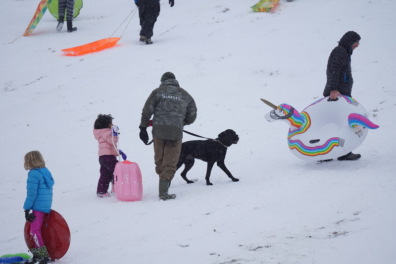 snow, child, tire, field, pets, lifestyles, jacket, clothing, pink, weather, females, man, childhood, holding, sports, land, nature, leisure activity, s