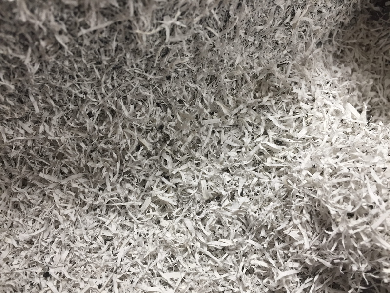 nature, high angle view, plant, pattern, cricket insect, moss, insect, white, wool, aluminium, texture, crumpled, invertebrate, abundance, indoors, carpet - decor