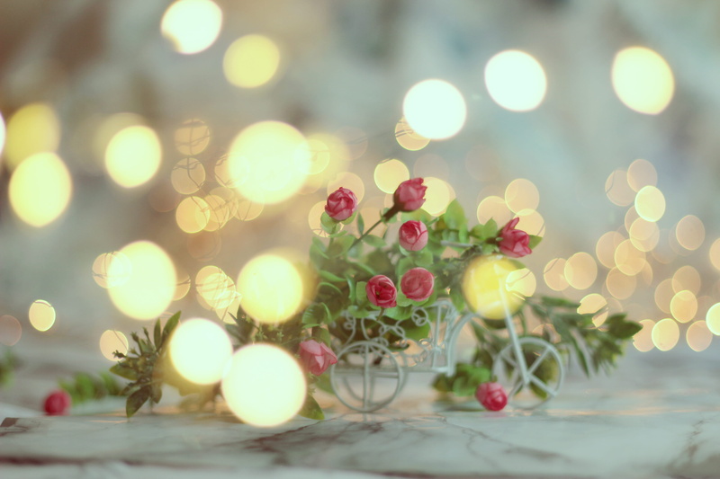 market, bazaar, flare, christmas, green, blossom, shop, selective focus, christmas lights, indoors, flower, rose, pattern, nature, christmas ornament, photography