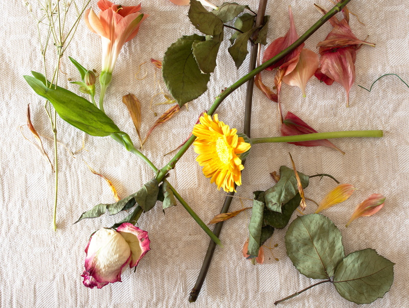 directly above, rose, plant, vulnerability, wilted plant, freshness, flower, ornament, high angle view, pottery, vase, flowers, ikebana, potted plant, flower bouquet
