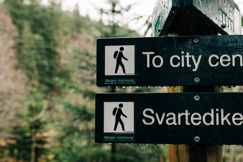 outdoors, human, communication, close-up, text, plant, totem, road sign, 5K, direction, tiki, no people, day, column, amusement park, sign, roller coaster