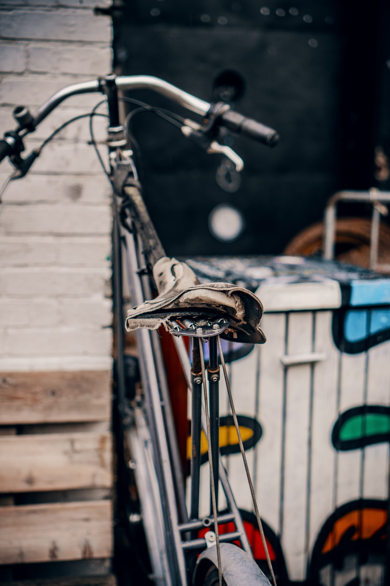selective focus, hardwood, banister, handrail, handlebar, tire, beside, rust, 5K, wall - building feature, clothing, metal, bicycle, weaponry, animal