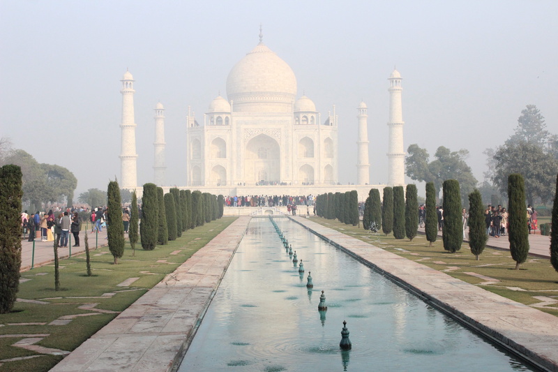 memorial, tourism, tree, ardah, dome, travel, arch, agra, danza, bollywood, travel destinations, taj, the past, india, viajes, reflecting pool, built structure