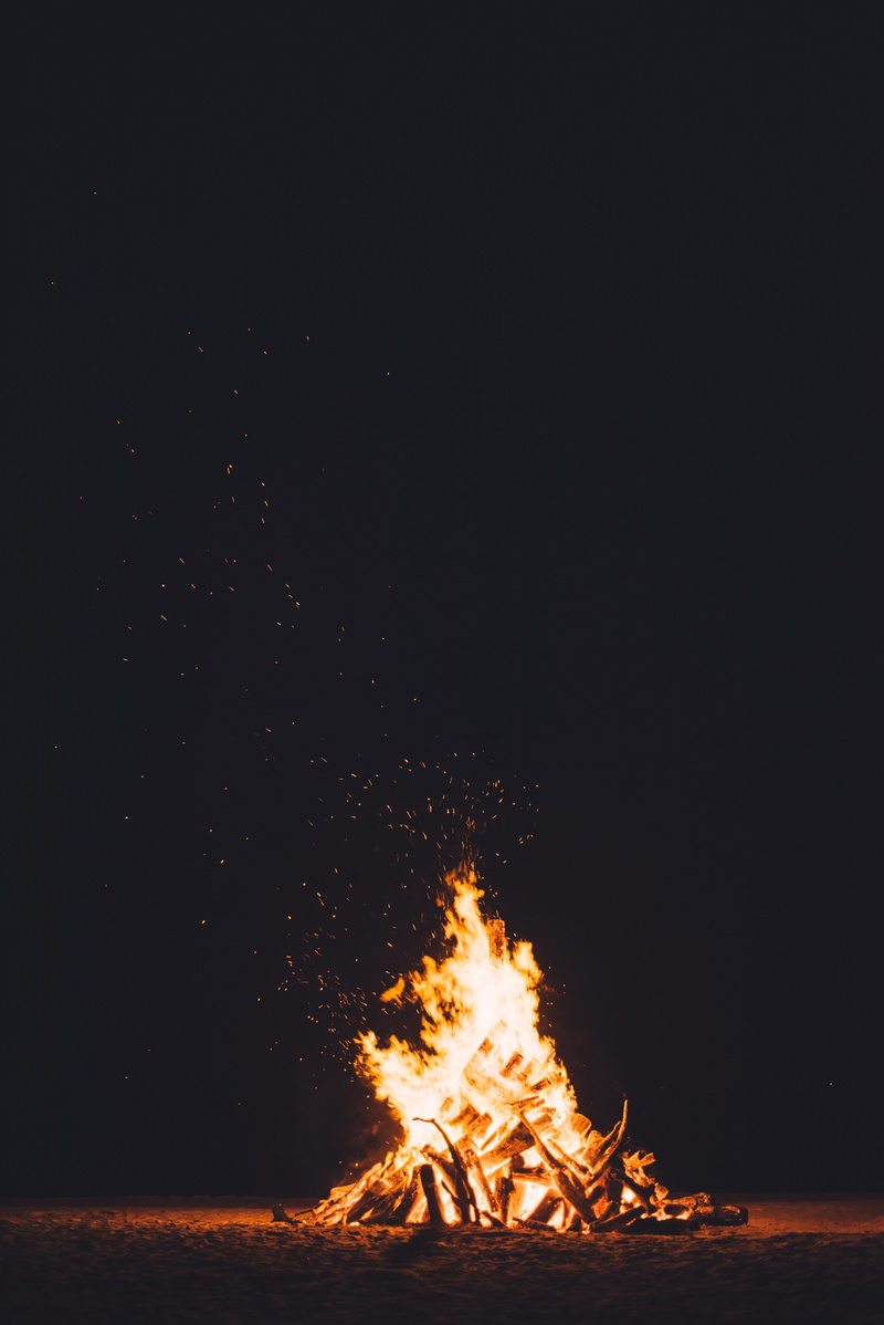 orange color, wood - material, christmas, copy space, celebration, heat, flame, burning, dark, heat - temperature, tree, nature, explosive, fire - natural phenomenon