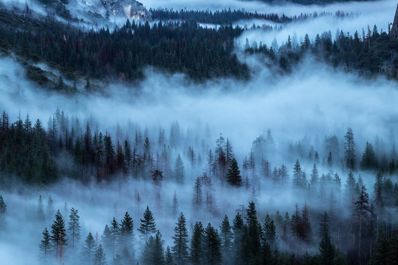 environment, cloud - Sky, color Image, non-Urban Scene, sky, coniferous Tree, summer, cold temperature, sunlight, mountain Peak, land, shroud, landscape