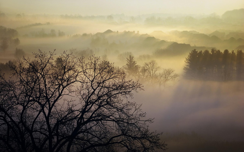 silhouette, fog, shrouded, village, sunrise, nature and landscapes, 1080P, photo, trees